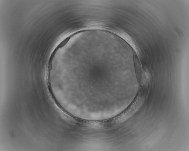 X0000110761101200907271138