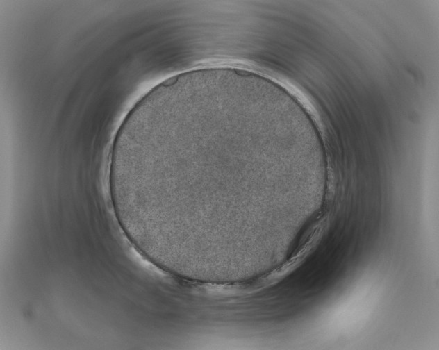X0000110761102200907271138