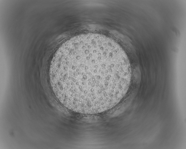 X0000110761105200907271138