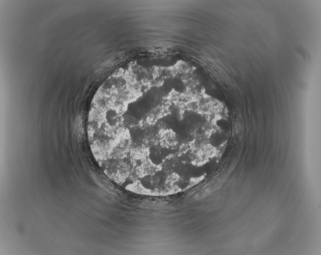 X0000110761106200907271138
