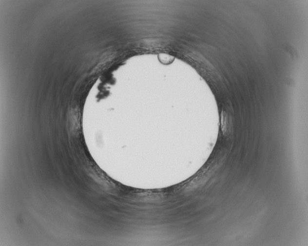 X0000110761107200907271138