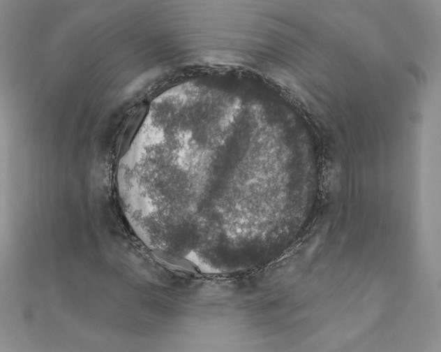 X0000110761110200907271138