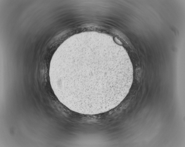 X0000110761111200907271138