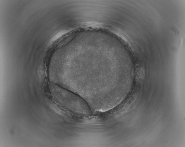 X0000110761112200907271138