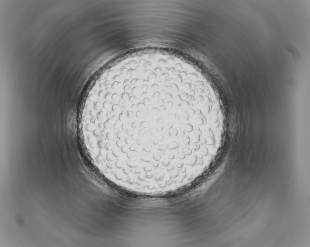 X0000110761113200907271138
