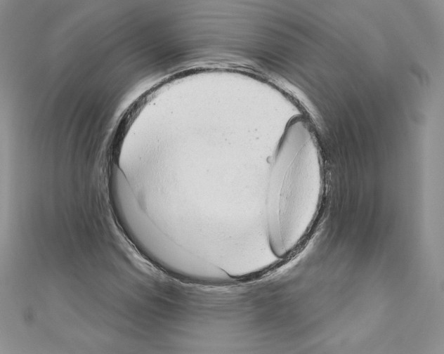 X0000110761114200907271138