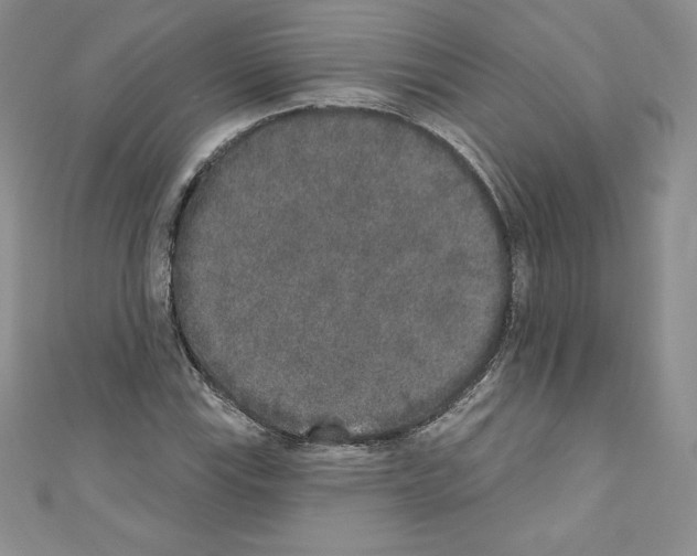 X0000110761115200907271138