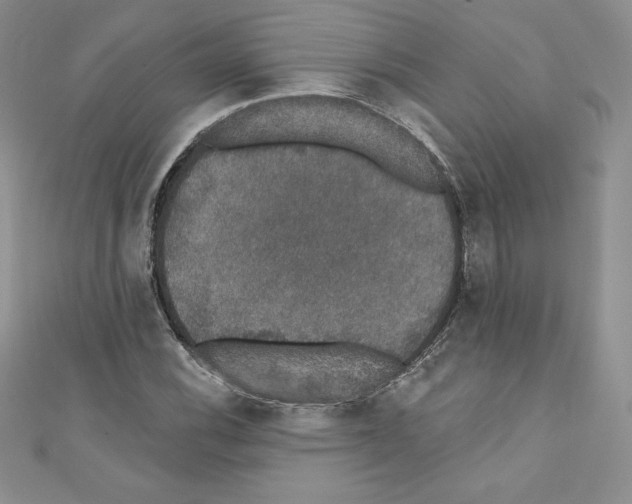 X0000110761116200907271138