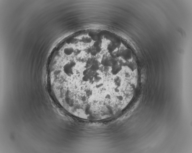 X0000110761117200907271138