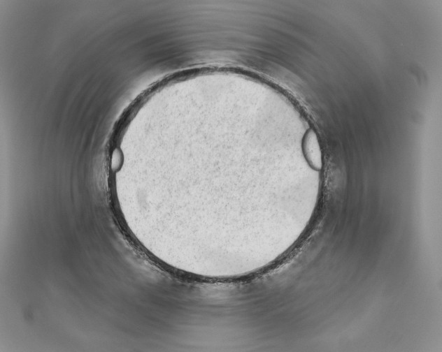 X0000110761118200907271138
