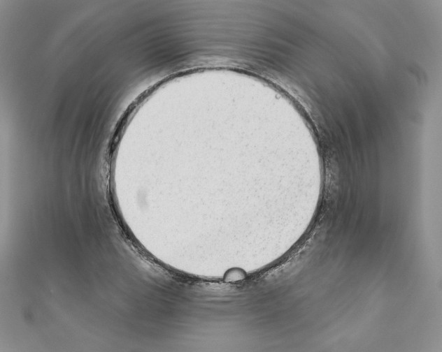 X0000110761119200907271138