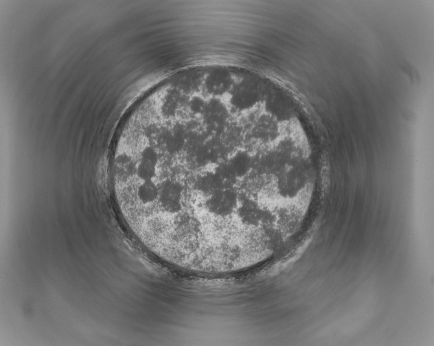 X0000110761121200907271138