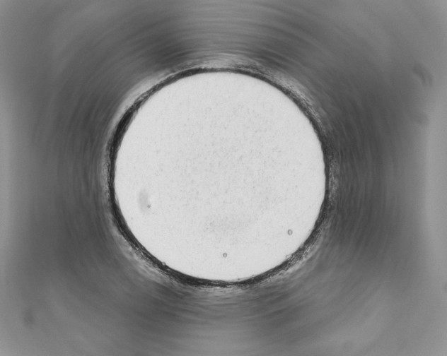 X0000110761122200907271138