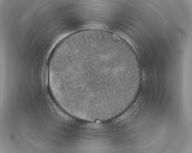 X0000110761123200907271138