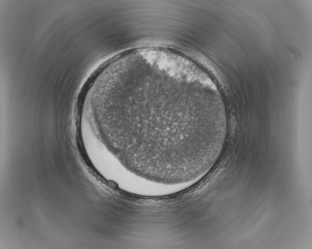 X0000110761124200907271138