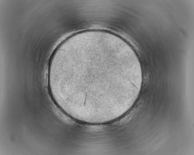 X0000110761126200907271138