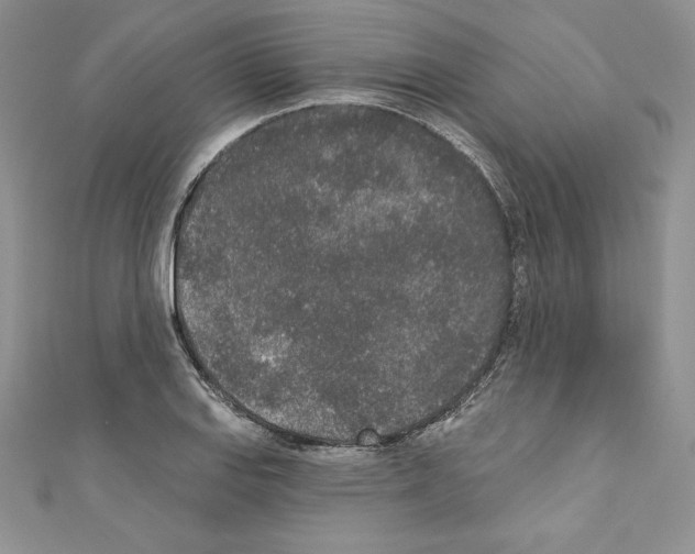 X0000110761127200907271138