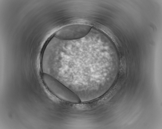 X0000110761128200907271138