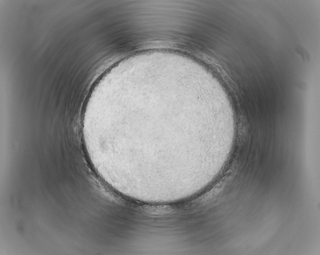 X0000110761129200907271138