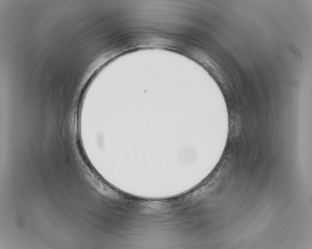 X0000110761130200907271138