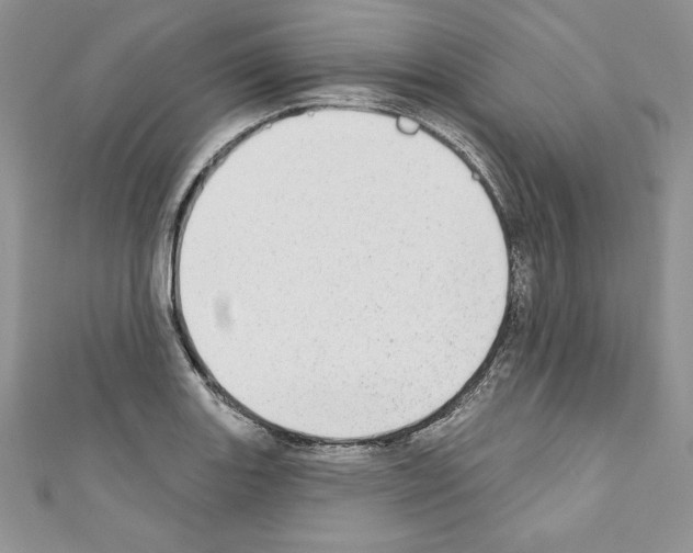 X0000110761131200907271138