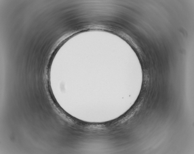 X0000110761133200907271138