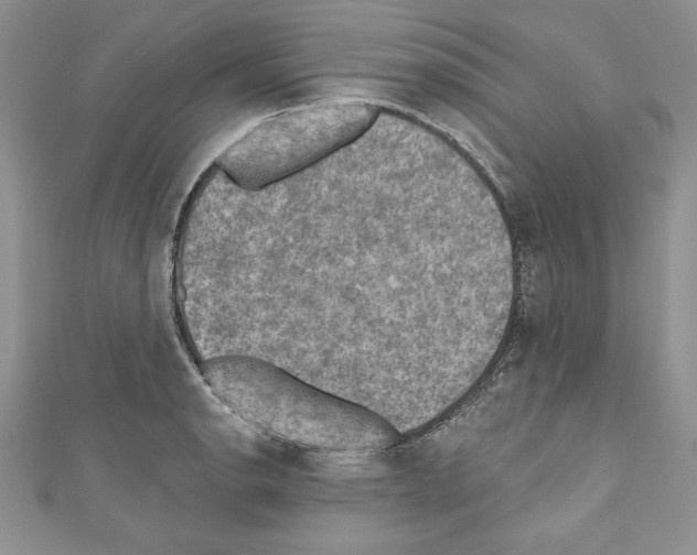 X0000110761134200907271138