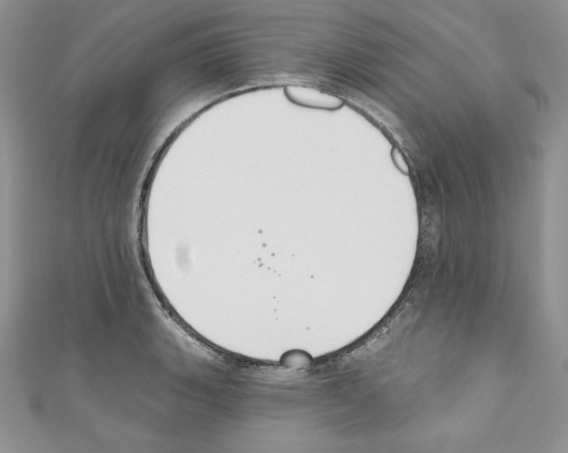 X0000110761135200907271138