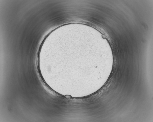 X0000110761136200907271138