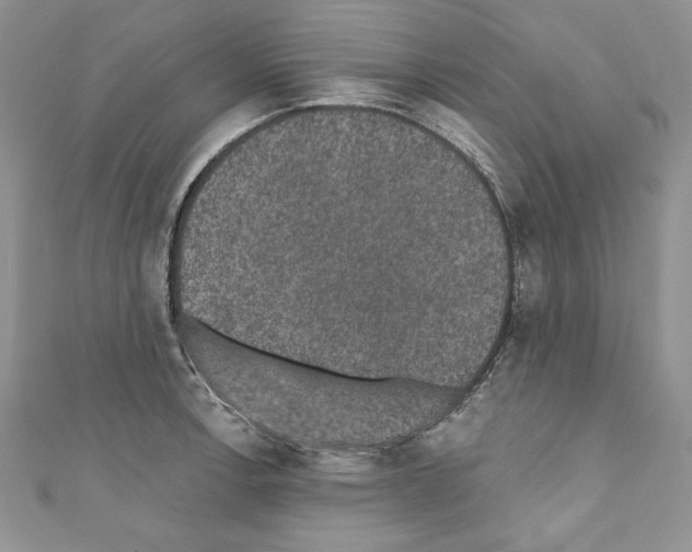 X0000110761138200907271138