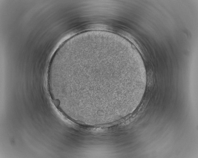 X0000110761139200907271138