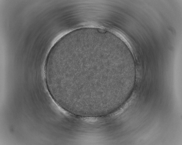 X0000110761141200907271138