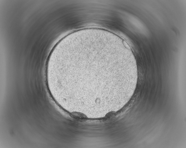 X0000110761142200907271138
