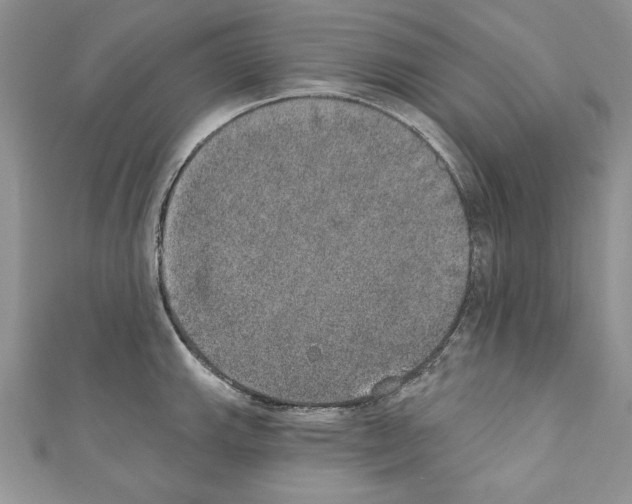 X0000110761143200907271138