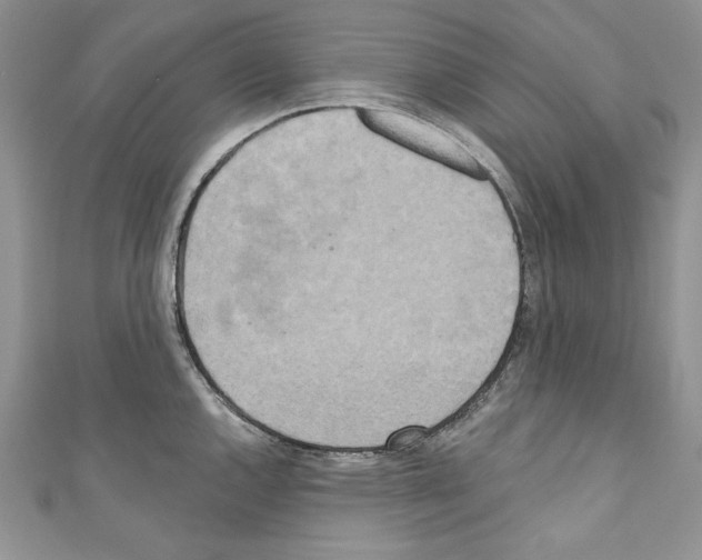 X0000110761144200907271138