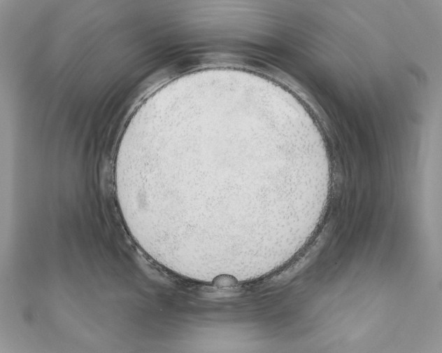 X0000110761145200907271138