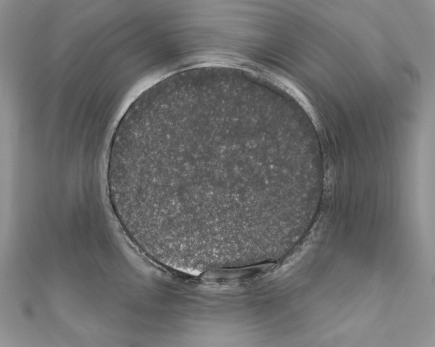X0000110761146200907271138