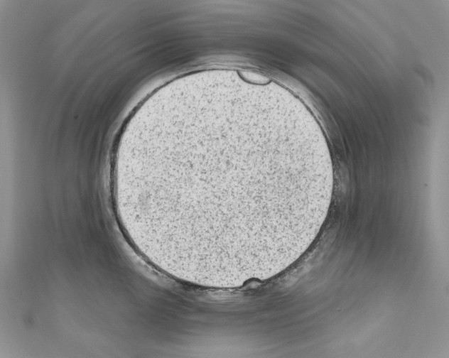 X0000110761147200907271138