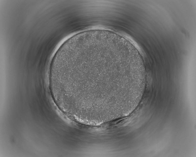X0000110761148200907271138