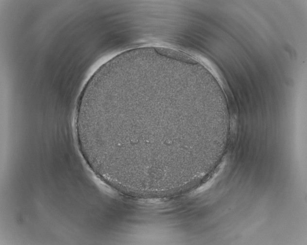 X0000110761149200907271138