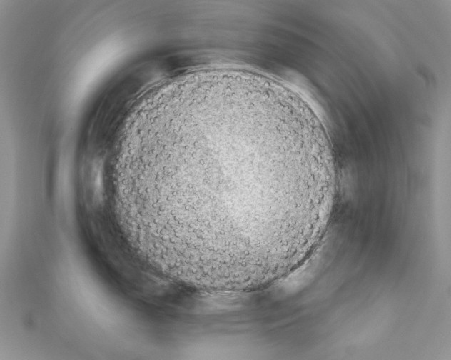 X0000110761150200907271138