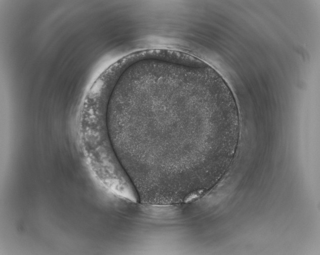 X0000110761152200907271138