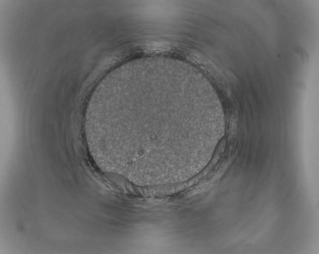 X0000110761153200907271138