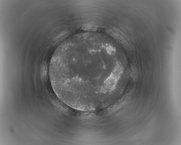 X0000110761154200907271138