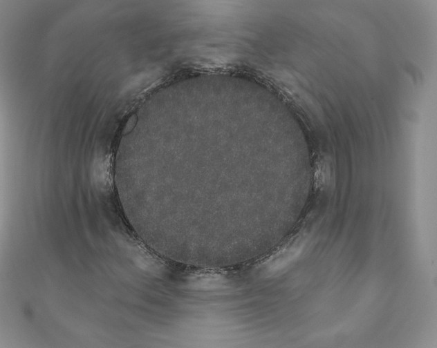 X0000110761156200907271138