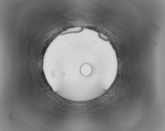 X0000110761157200907271138