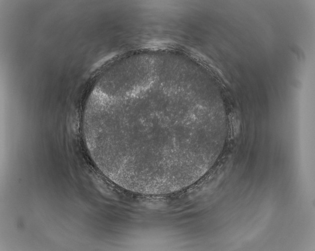 X0000110761158200907271138
