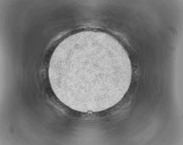 X0000110761159200907271138