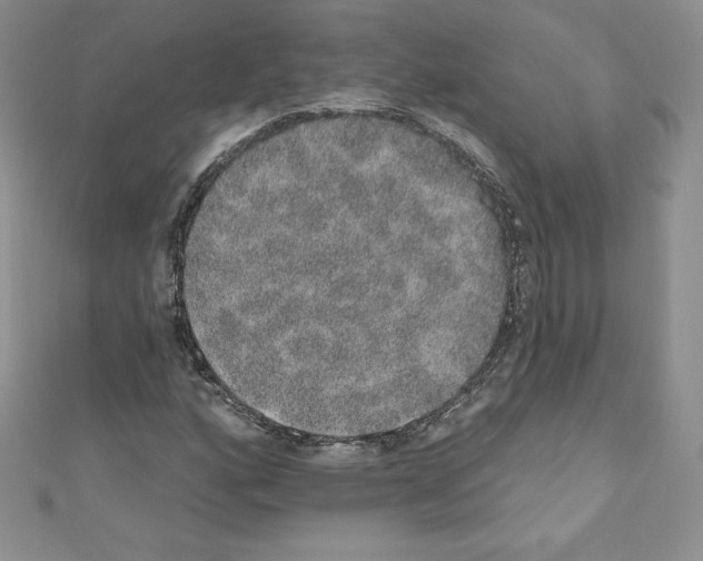 X0000110761160200907271138