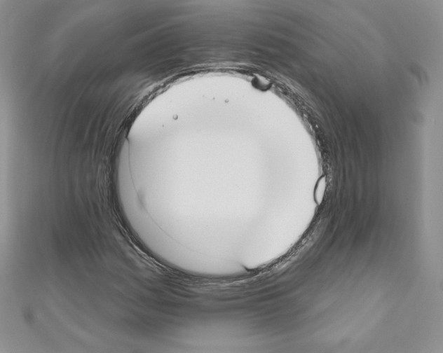 X0000110761161200907271138